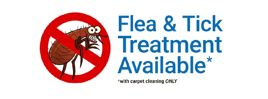 flea and tick treatment